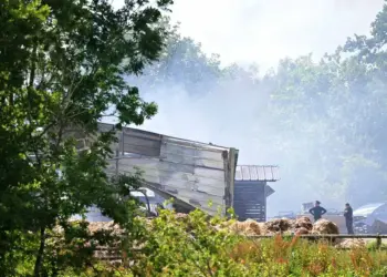 Investigan misteriosa muerte de 70 caballos