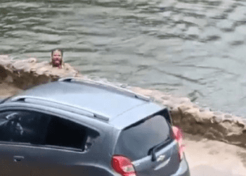 Borracho cae a laguna y es rodeado por cocodrilos