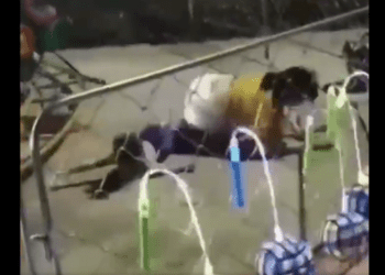 Madre e hijo “salen volando” de juego mecánico