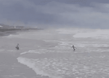 Pese a alerta por ‘Alberto’, un hombre se mete a nadar en playa de Tampico