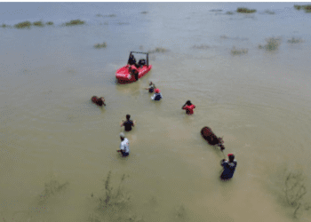 Rescatan a 40 caballos varados en una isleta por las lluvias