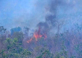 Conafor informa de 106 incendios forestales activos en 22 estados