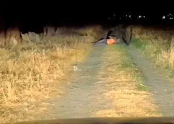 Supuesto nahual aterroriza en redes sociales