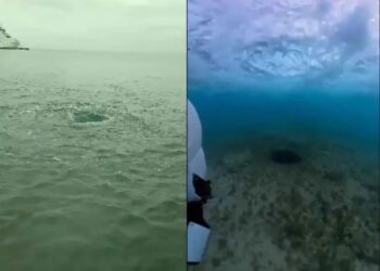 Después de fuertes lluvias, se observa la formación de un ‘ojo de agua’ en el mar de Cozumel