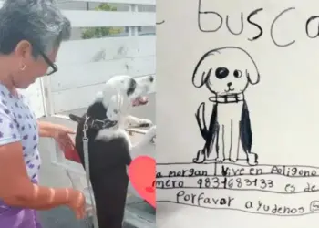 Abuela encuentra perrito perdido por dibujo de su nieta