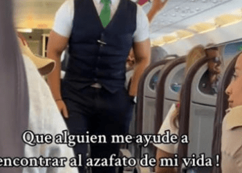 Mujer busca en TikTok a guapo sobrecargo