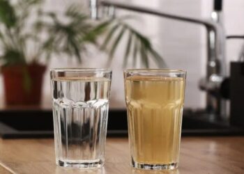 Autoridades de CDMX deben informar sobre el agua contaminada en Benito Juárez