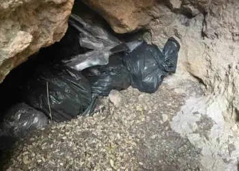 Guardia Nacional asegura armas en Parque Natural de Zacatecas