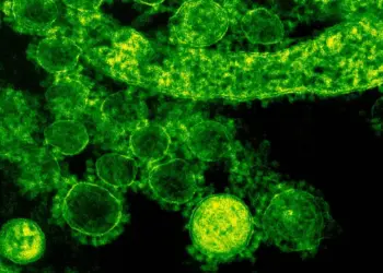 Bacteria carnívora genera alerta a Japón