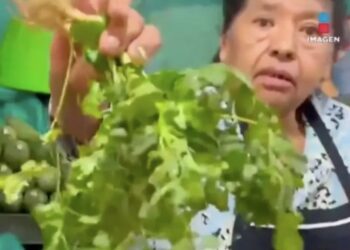 ¡El cilantro se vende a 700 pesos por manojo en la Central de Abasto de la CDMX!