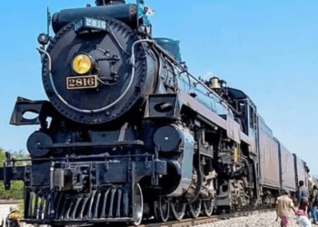 Hombre intenta descarrilar “La Emperatriz”