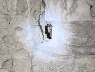 Captan aterrador ojo en la pared de una casa