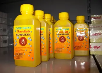En la India, embotellan orina de vaca para consumir