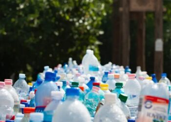 Se planea prohibir el uso de bisfenol A en envases de alimentos