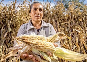 Se encienden alarmas en la producción alimentaria; cuestionan datos oficiales