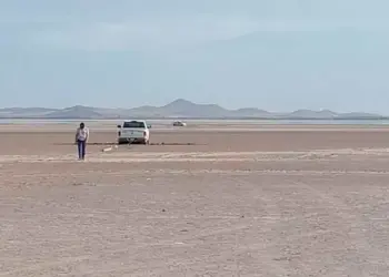 Miles de peces mueren por sequía de laguna en Chihuahua