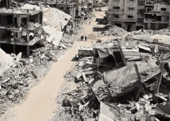 Animales también sufren ansiedad y estrés por la guerra