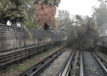 Un árbol cae a las vías del Metro y afecta a la Línea 5