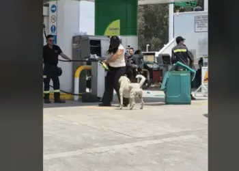 Lady gasolina; amenaza con matar a despachadores
