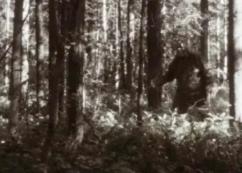 Estudiantes llaman a 911 al encontrarse con Pie Grande