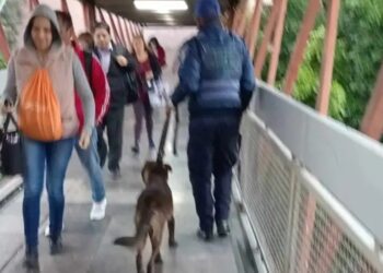 La Línea A del Metro CDMX ya opera con normalidad tras interrupción