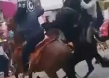 Borracho da machetazos a jinete en desfile