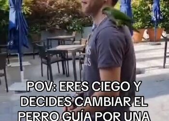 Influencer ciego usa un loro guía