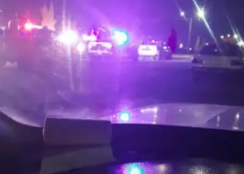 Motociclista muere por esquivar a perrito