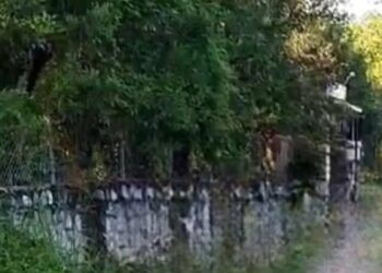 Encuentran cuatro cuerpos en una quinta en Montemorelos, Nuevo León