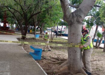 Trabaja Solidaridad en materia de prevención por fenómenos hidrometeorológicos