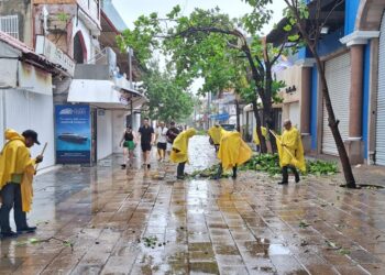 Solidaridad registra saldo blanco tras el paso de Beryl