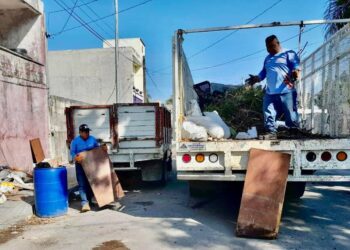 Solidaridad toma medidas de precaución contra el dengue