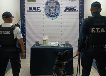 Unidad Canina asegura drogas en Solidaridad