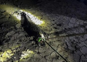 Atrapan a cocodrilo de metro y medio en las calles de Hidalgo