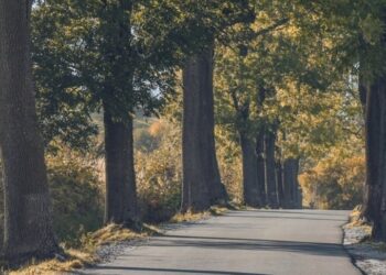 Bebé sobrevive dos días gateando en carretera
