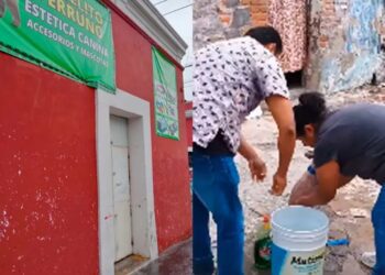 Denuncian en Puebla que una estética canina usa jabón para trastes y maltrata a los perros