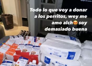 Karely Ruiz donará sillas de ruedas para niños con discapacidad