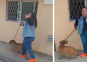 Surge #LadyPopo: Para no levantar las heces de su perro, grita que la quieren violar