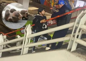 Policías niegan la entrada al Metro  a joven que llevaba a su perrito