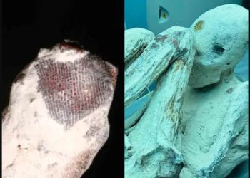 Las momias alienígenas de Jaime Maussan presentan huellas dactilares no humanas