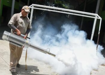 Michoacán reporta cuatro muertes por dengue
