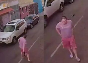 Un individuo arroja a un gato contra el cableado eléctrico en Querétaro