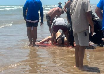 Del cine a la realidad: Dos ataques de tiburón durante la celebración del 4 de julio