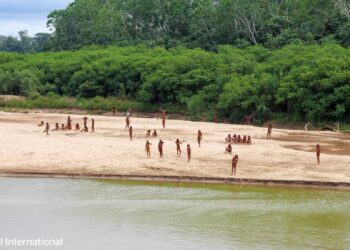 Captan a tribu aislada del Amazonas emerger de la selva
