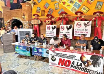 En Sonora luchan contra las leyes de protección animal que prohíben peleas de gallos