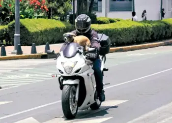 Alta tasa de siniestros entre motociclistas, eleva costos de las pólizas de seguros