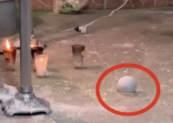 Viral: Alexa reza rosario en velorio