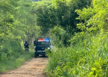 Secuestran a mujer; la hallan calcinada