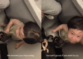 Pasajeras encierran a niña en baño de avión por llorar