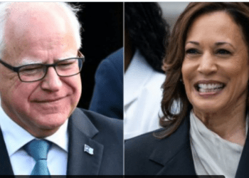 Kamala Harris elige a Tim Walz como  compañero de fórmula